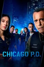 Chicago P.D. Poster Chicago P.D.