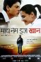 My Name Is Khan Poster