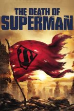 The Death of Superman Poster